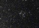 M29 (NGC6913)