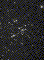 M41 (NGC2287)