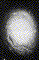 M94 (NGC4736)